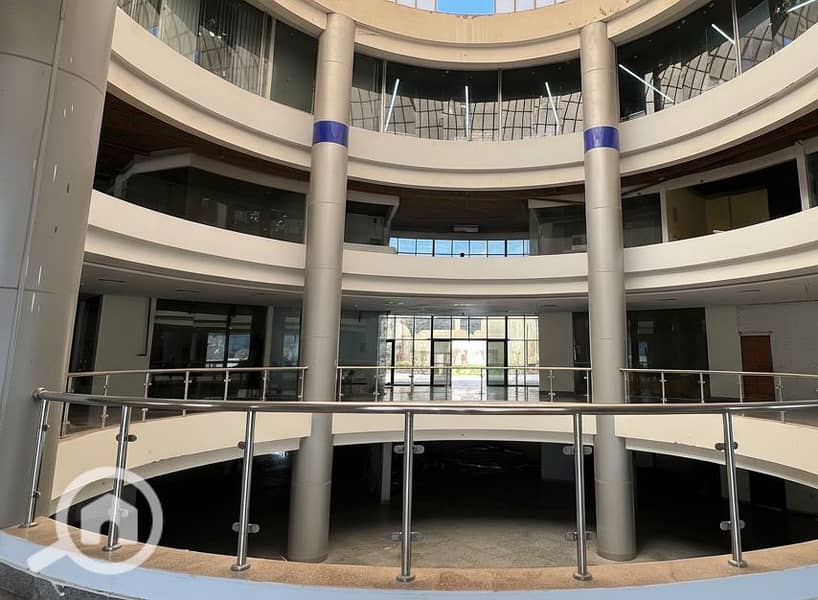 2 Generated Image September 23, 2025 - 2_06PM. png