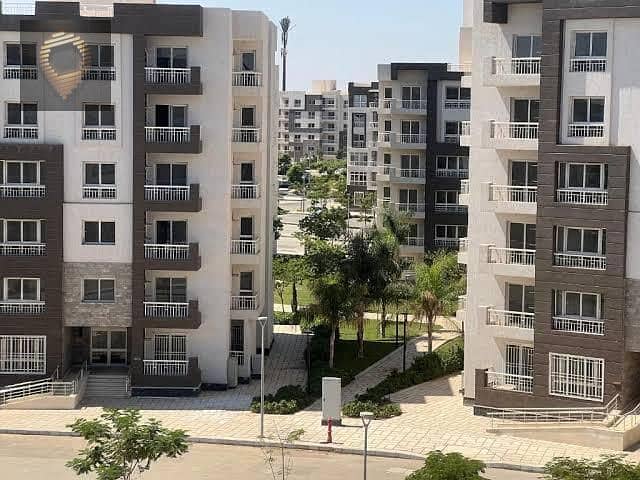 9 WhatsApp Image 2024-10-01 at 14.48. 12_d72a56ed. jpg