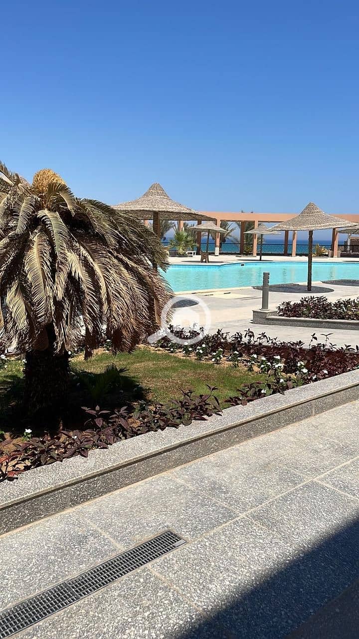 4 WhatsApp Image 2025-10-26 at 5.16. 03 PM. jpeg