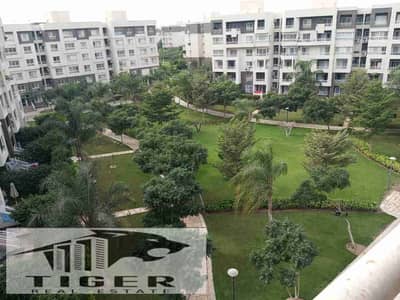 3 Bedroom Flat for Rent in Madinaty, Cairo - 1000390323. jpg