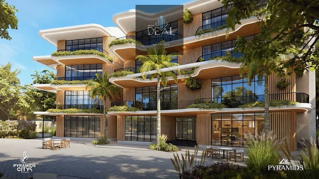 3 WhatsApp Image 2025-10-12 at 23.31. 56_f622a917. jpg