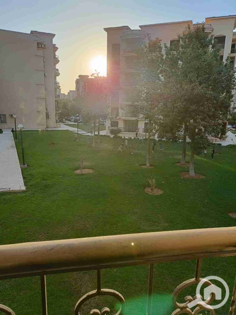 7 IMG_٢٠٢٥١٠٢٦_٠٥٣٢٢٥. jpg