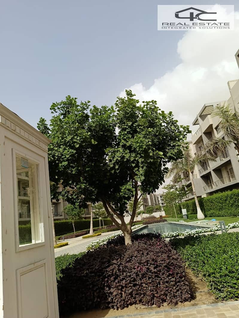 5 WhatsApp Image 2024-11-03 at 6.02. 05 PM. jpeg