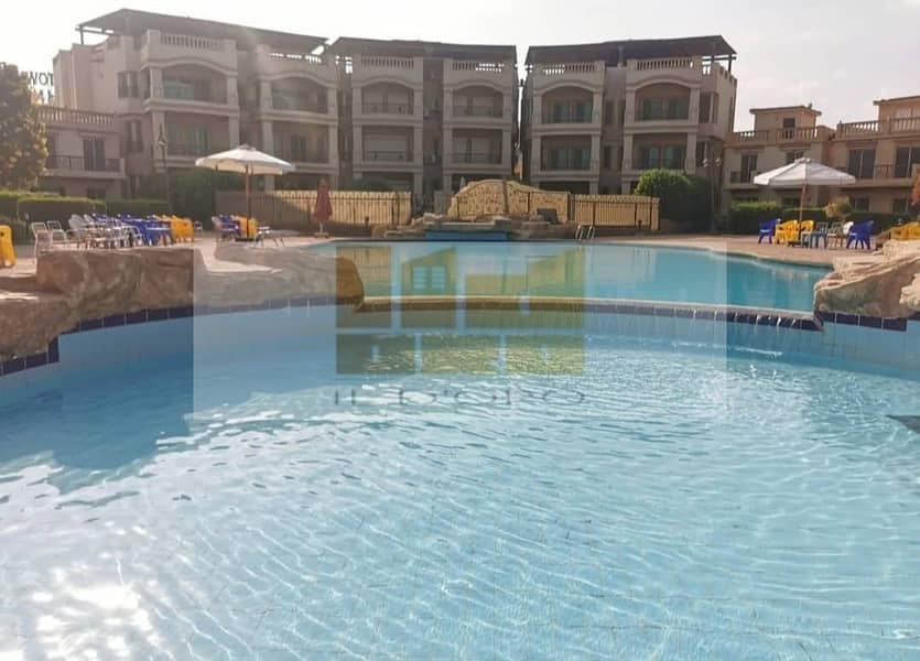 4 WhatsApp Image 2025-11-04 at 13.29. 26_fd9f25d0. jpg