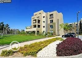 2 بالم باركس. jpg