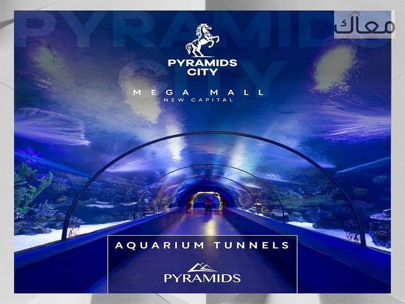 2 1d4008ef-aa96-479f-bc24-e431d22a2137. jpg