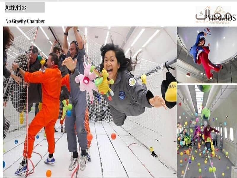 14 85575090-fe38-4121-b3f7-593d95f078c3. jpg