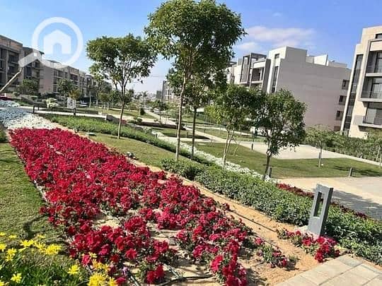 6 3147ddc6-f389-42a9-b050-9e573fcf8619 - Copy. jpg