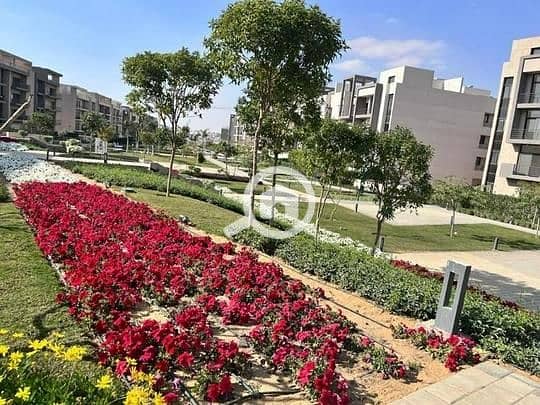 7 3147ddc6-f389-42a9-b050-9e573fcf8619 - Copy. jpg