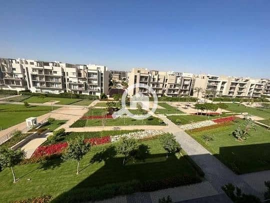 3 26513b77-f6a9-4e44-9d75-553cf62a5376. jpg