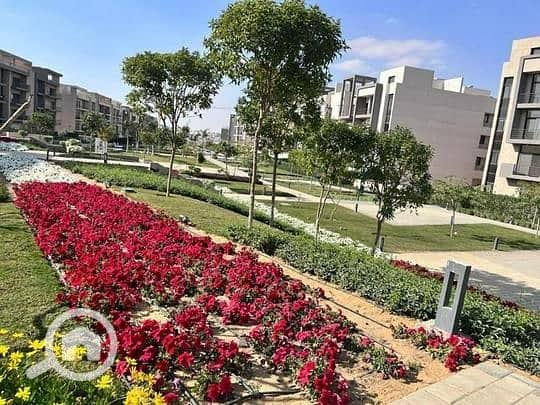 6 3147ddc6-f389-42a9-b050-9e573fcf8619 - Copy. jpg