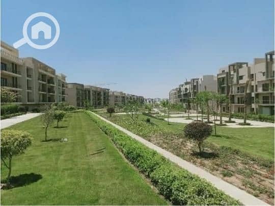 5 95600d6e-e38d-41f6-a5ed-15a89c9db2ed. jpg