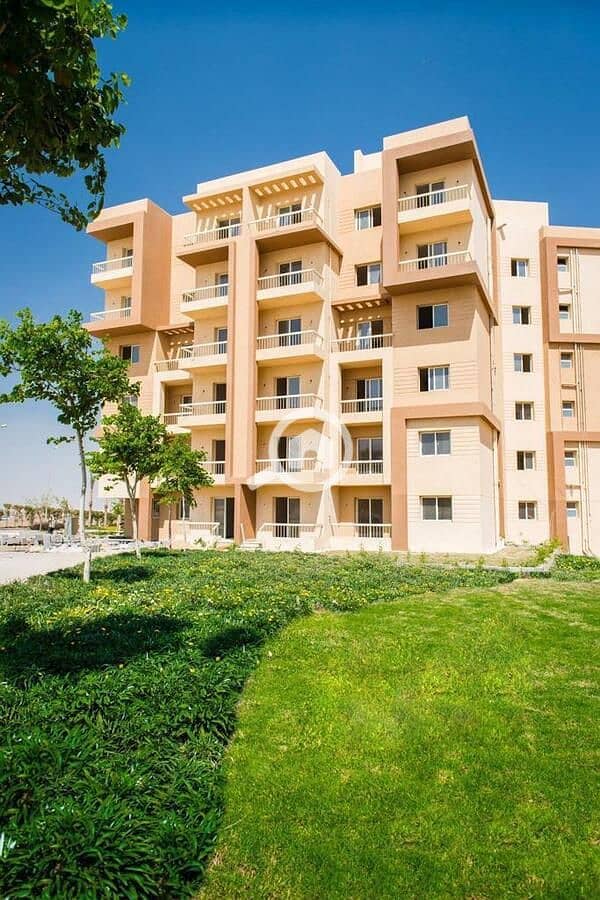 12 WhatsApp Image 2025-04-14 at 12.14. 05_2bc0b7f8. jpg