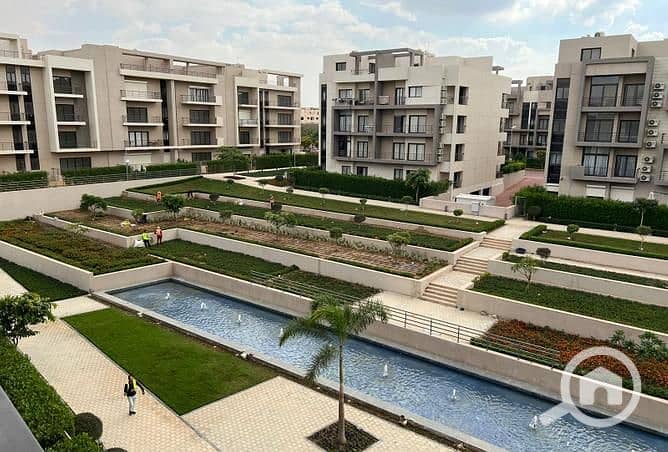 2 3830427-a9e03o. jpg