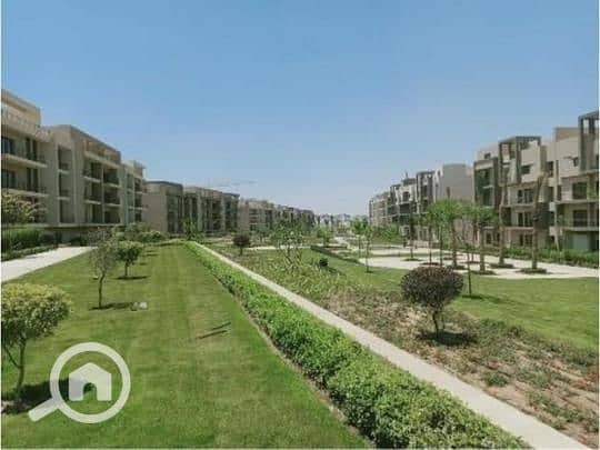 6 95600d6e-e38d-41f6-a5ed-15a89c9db2ed. jpg