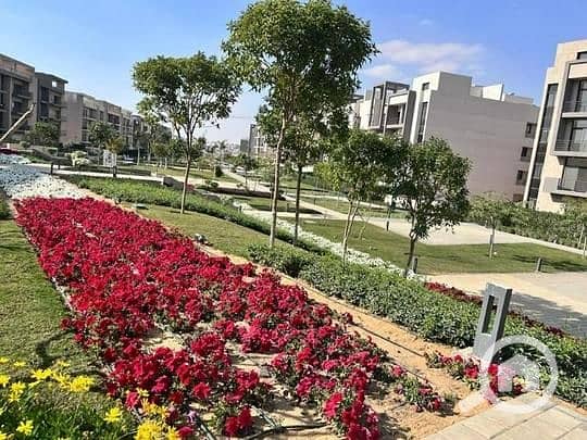 7 3147ddc6-f389-42a9-b050-9e573fcf8619 - Copy. jpg