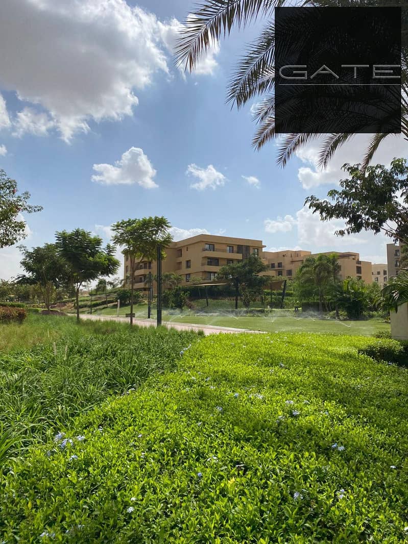 7 571351017_25706084548999444_3427263697202379045_n. jpg