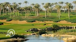 4 download (44). jpeg