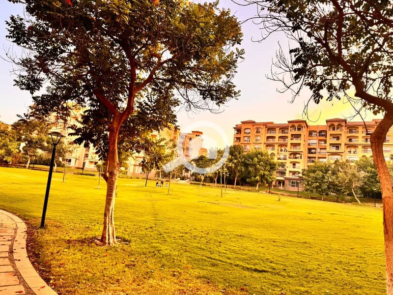 13 e063ebfc-a611-4ed1-a9c0-e987e80d6c98. jpg