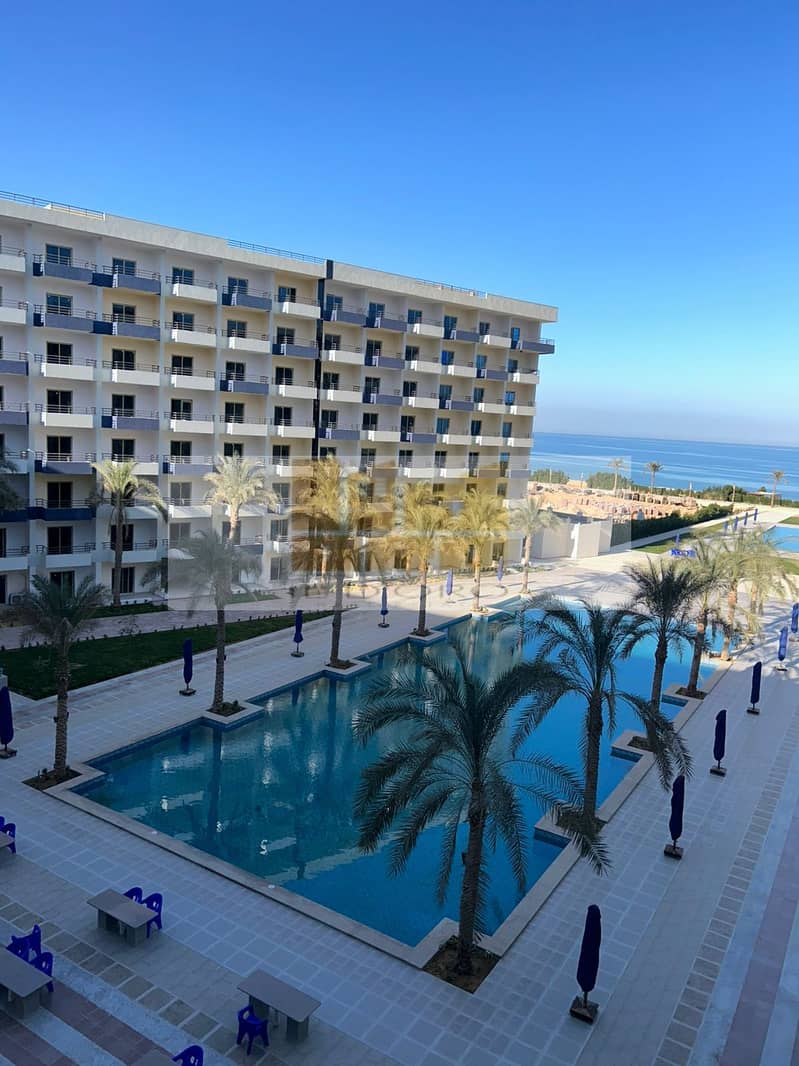 WhatsApp Image 2025-11-04 at 13.39. 08_7f70ee4c. jpg