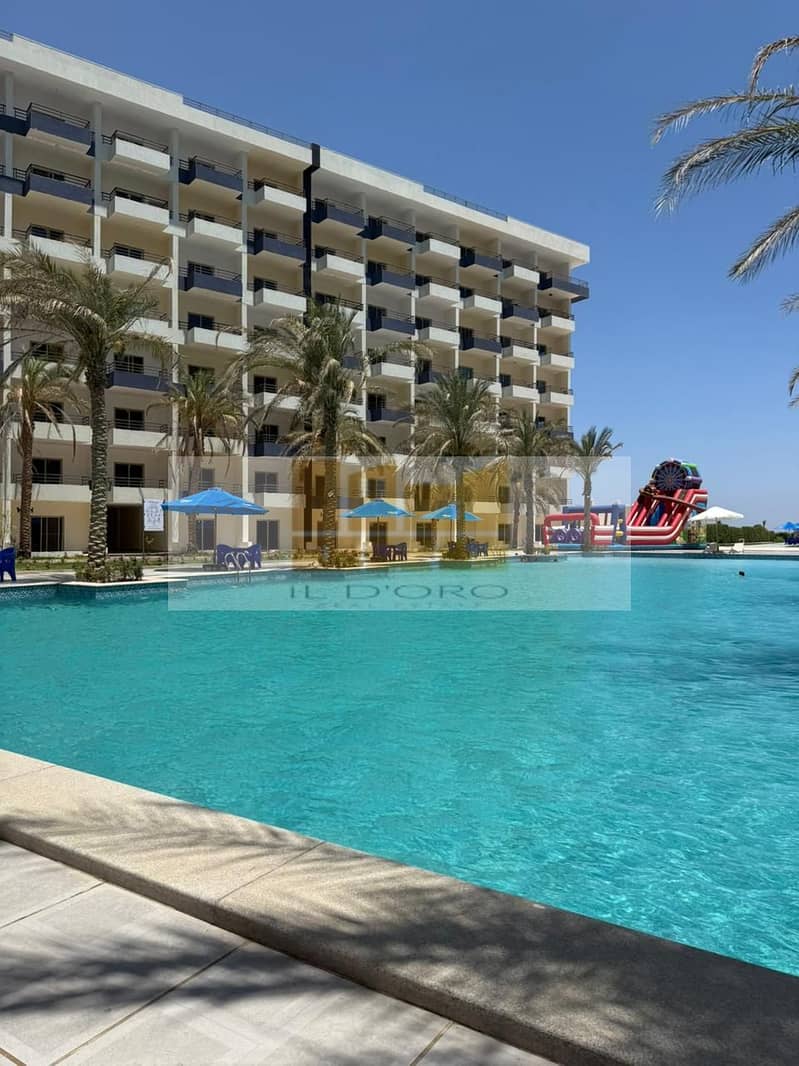 4 WhatsApp Image 2025-11-04 at 13.39. 11_e06874ac. jpg