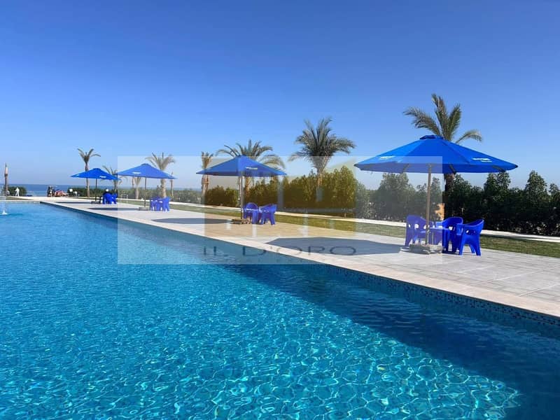 17 WhatsApp Image 2025-11-04 at 13.39. 13_2244aab7. jpg