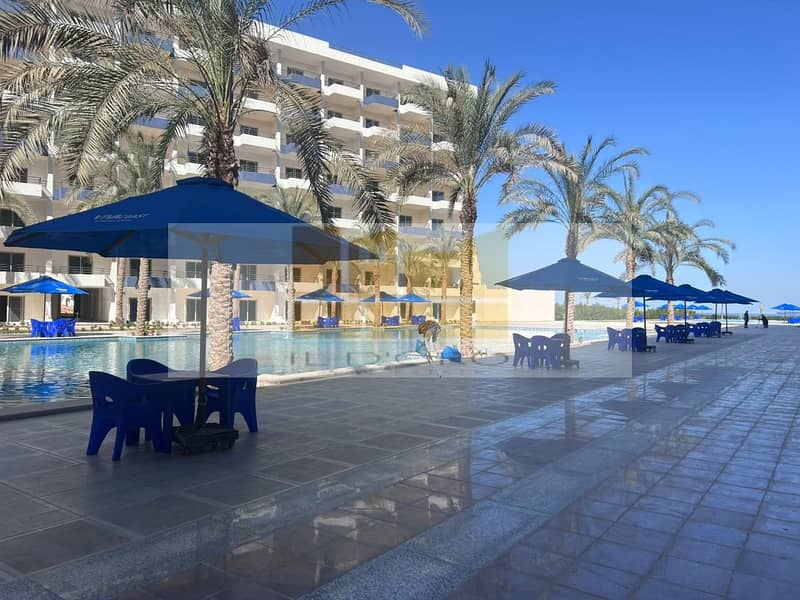 2 WhatsApp Image 2025-11-04 at 13.39. 16_79a4866c. jpg