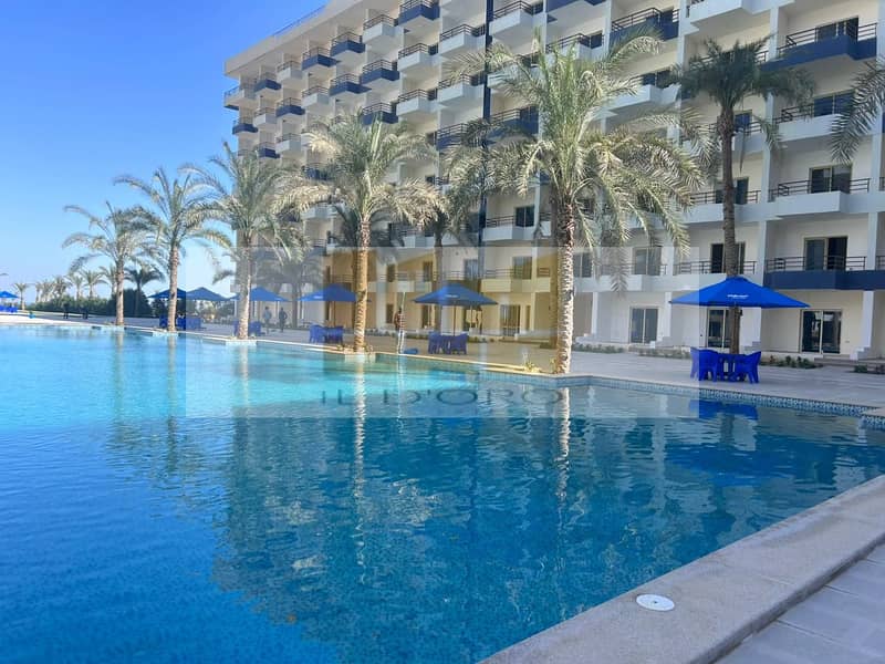 3 WhatsApp Image 2025-11-04 at 13.39. 16_44eb9314. jpg