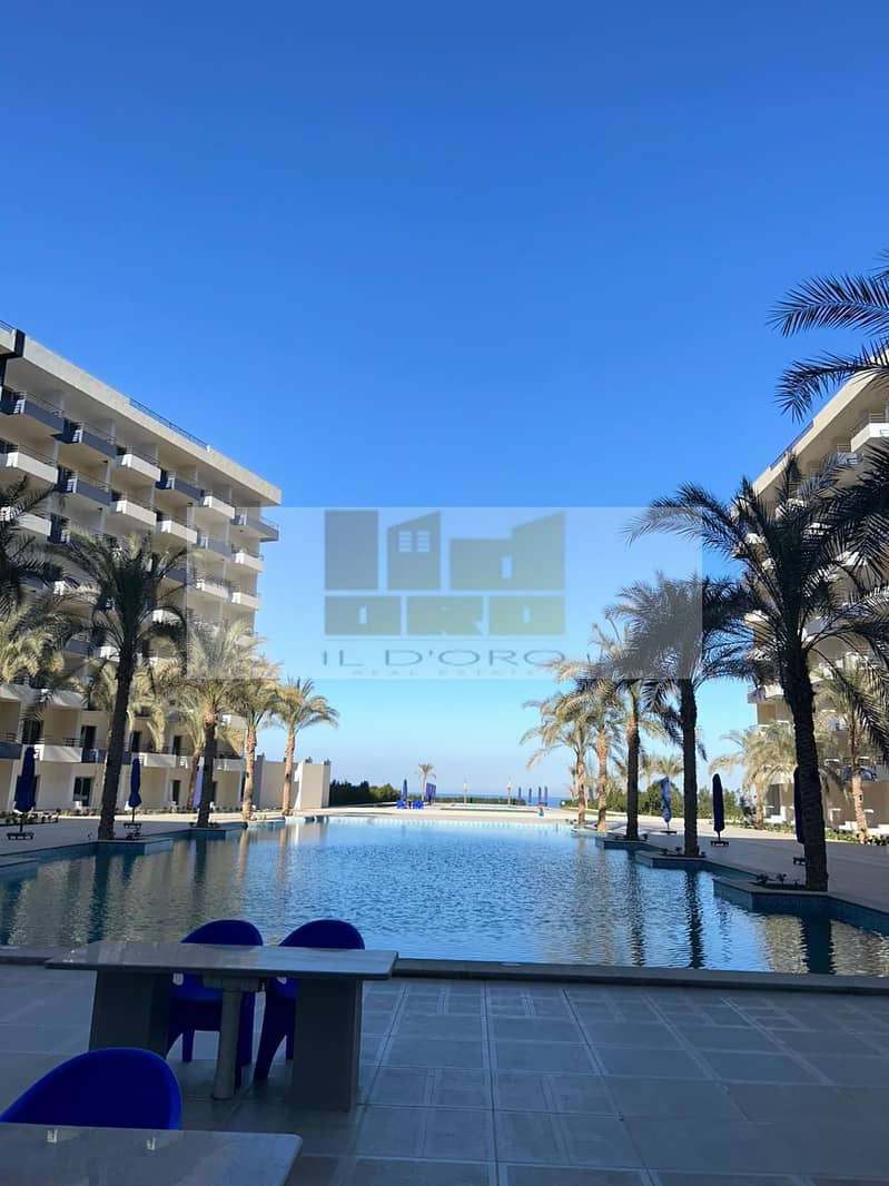 7 WhatsApp Image 2025-11-04 at 13.39. 08_13041659. jpg