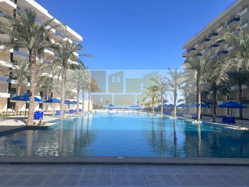 21 WhatsApp Image 2025-11-04 at 13.39. 15_dc6f2a81. jpg