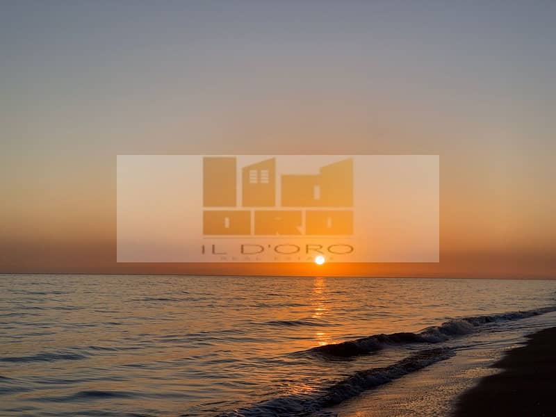 22 WhatsApp Image 2025-11-04 at 13.39. 16_870c9a01. jpg