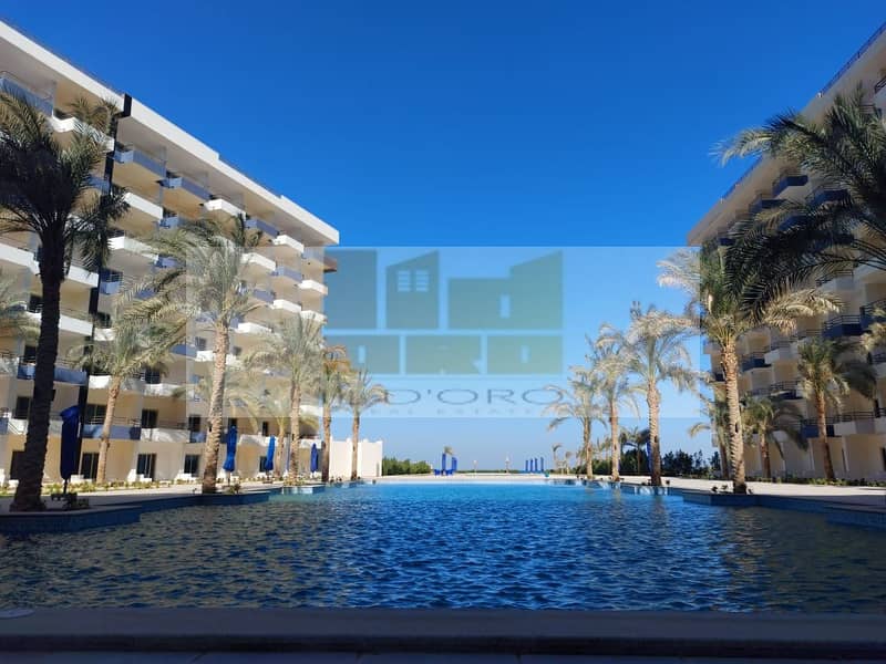 23 WhatsApp Image 2025-11-04 at 13.39. 17_92f822b9. jpg