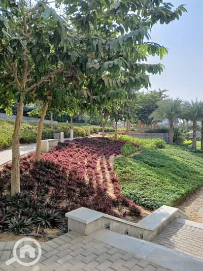 4 Bedroom Penthouse for Rent in New Cairo, Cairo - WhatsApp Image 2025-11-04 at 3.21. 30 PM (1). jpeg