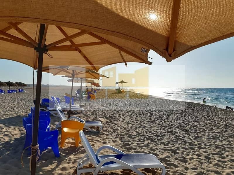 3 WhatsApp Image 2025-11-04 at 12.30. 52 PM (4). jpeg