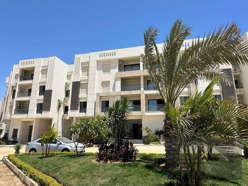 3 83cbb4e9-b1f2-4836-b01d-cf7de1d0089a. jpg