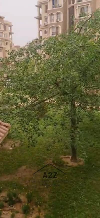 2 Bedroom Flat for Sale in Madinaty, Cairo - WhatsApp Image 2025-09-25 at 1.34. 42 PM (3). jpeg