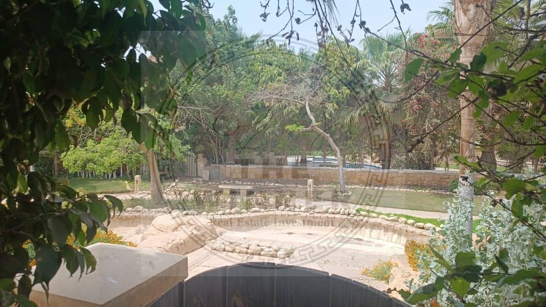 5 WhatsApp Image 2025-10-06 at 3.51. 11 PM (4). jpeg