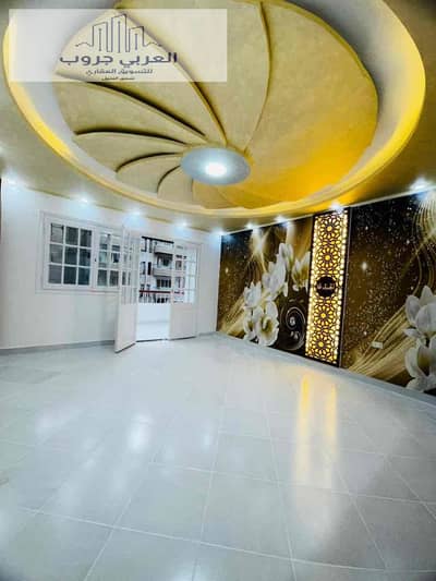 2 Bedroom Flat for Sale in Nakheel, Alexandria - 3b8da808-a12f-4e33-9390-fd3c8b5a864f. jpg 2 Bedroom Flat for Sale in Nakheel, Alexandria - 3b8da808-a12f-4e33-9390-fd3c8b5a864f. jpg