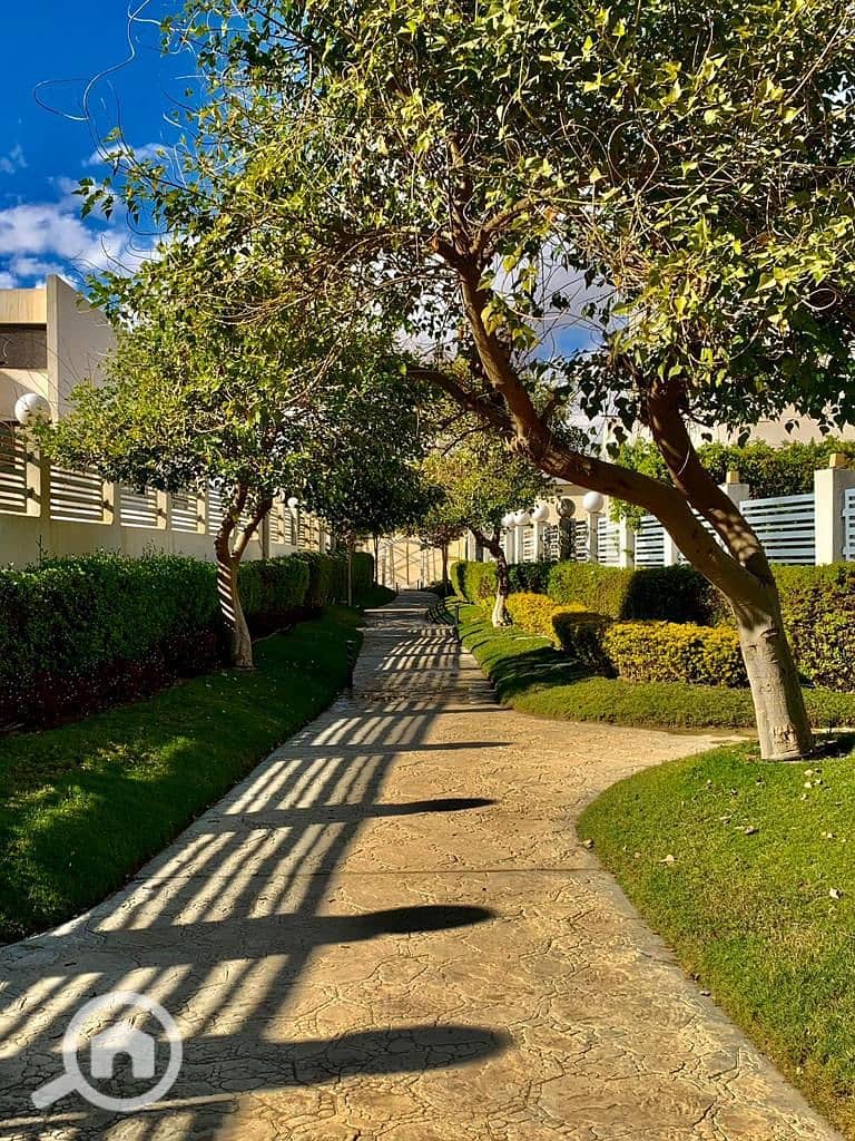 2 WhatsApp Image 2025-09-06 at 12.57. 18_0b662627. jpg