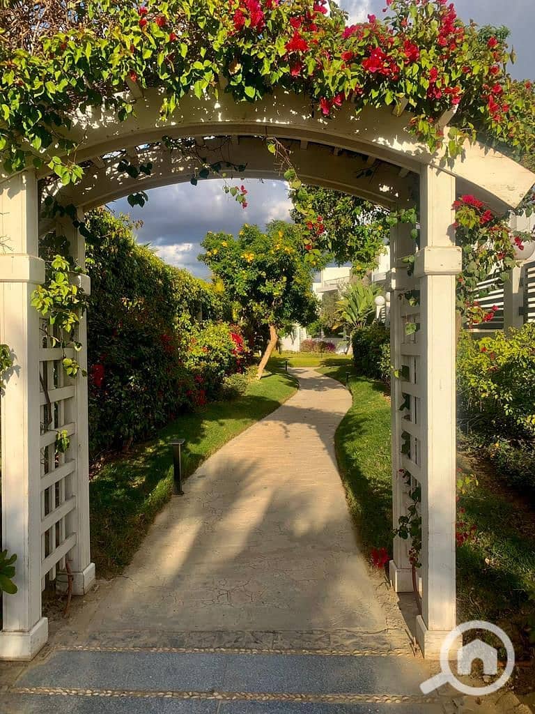 3 WhatsApp Image 2025-09-06 at 12.57. 10_0da30384. jpg