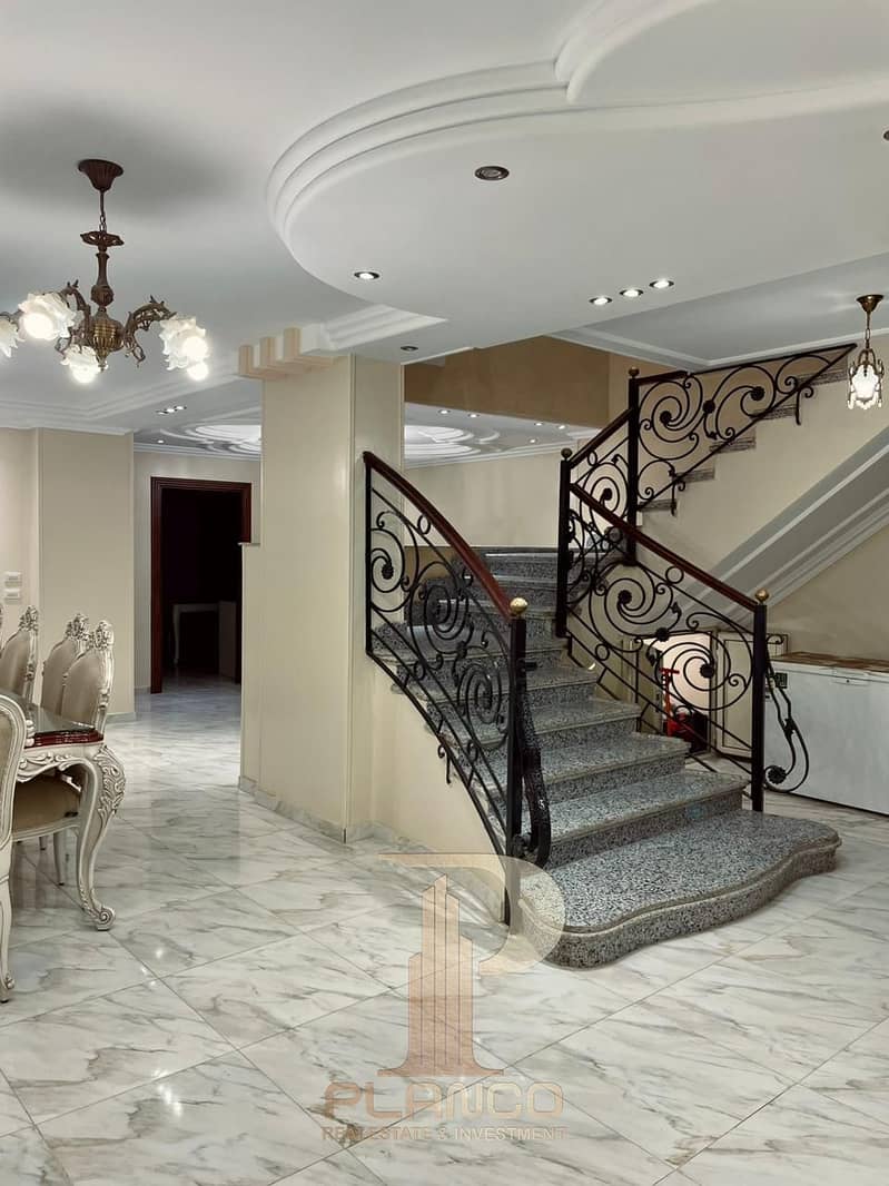 12 d0719e7f-3f67-49d8-b7b1-bfbac8564772. jpeg