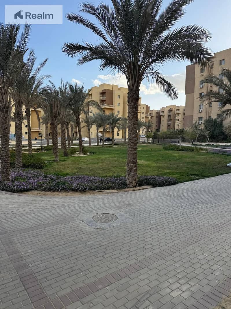 5 572972305_4127971720784736_2685862009189269825_n. jpg