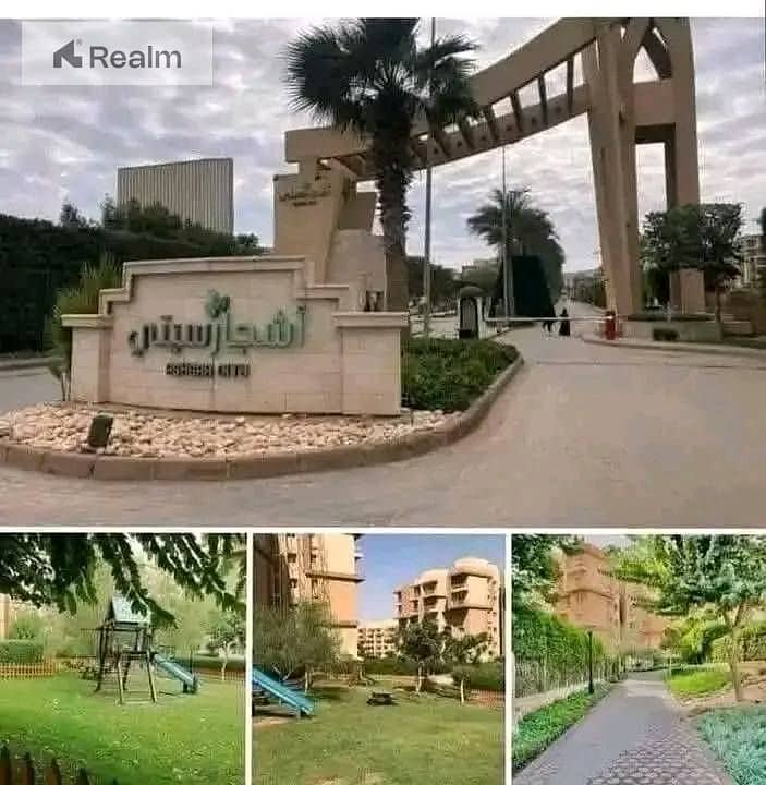 5 572434492_804479579229236_6518323062540129657_n. jpg