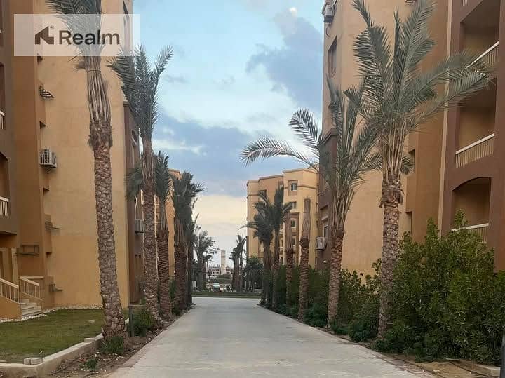 6 574558582_122196612722291691_2917071145979773446_n. jpg