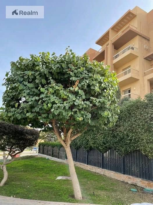 10 570438566_122187564962460806_5123424208856663065_n. jpg