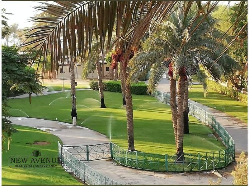 3 WhatsApp Image 2025-10-27 at 5.37. 11 PM (2). jpg