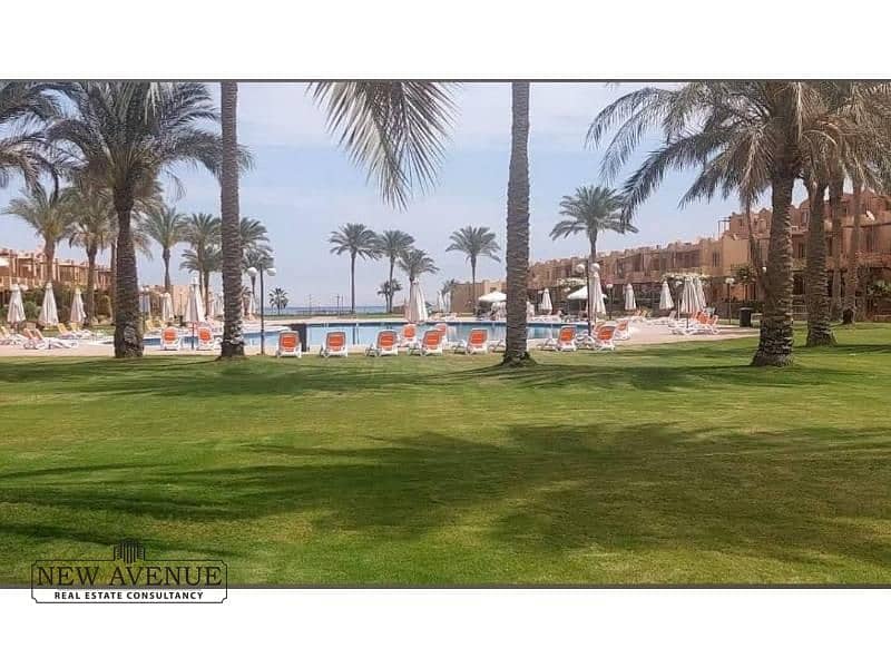 5 WhatsApp Image 2025-10-27 at 5.37. 11 PM. jpg