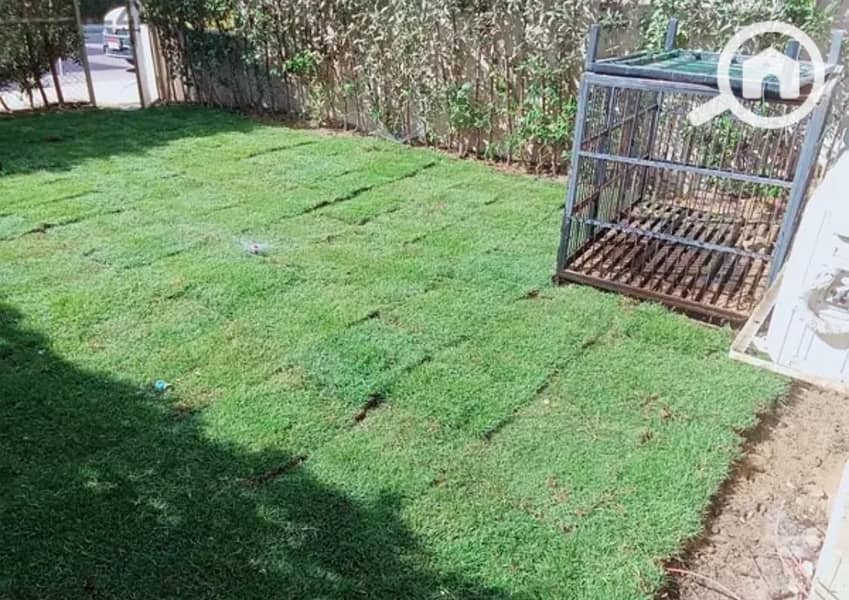 6 IMG-20251103-WA0082. jpg