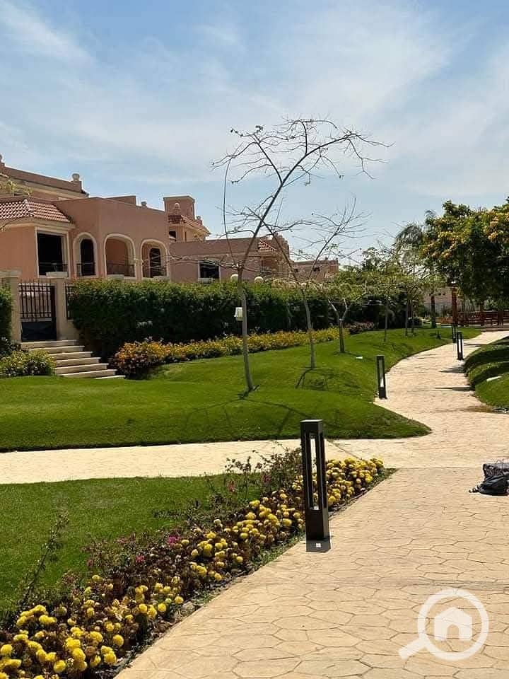 3 FB_IMG_1762275248178. jpg