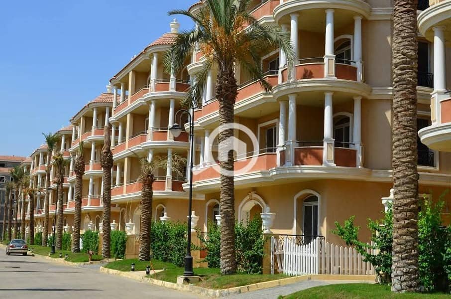 4 FB_IMG_1762275310577. jpg